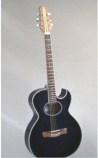  Акустическая гитара VINTAGE R-11