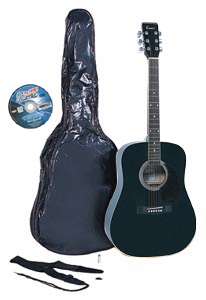 Акустическая гитара ENCORE W-255BOFT